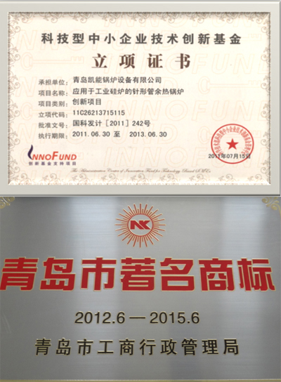 青島市著名商標、科技型中小企業(yè)技術(shù)創(chuàng)新立項基金