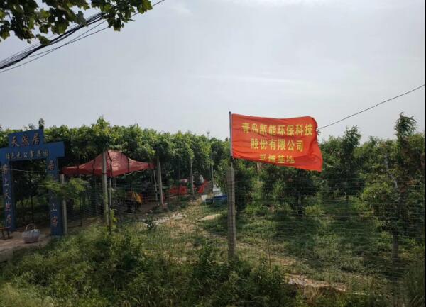 凱能科技六一員工福利親子采摘活動